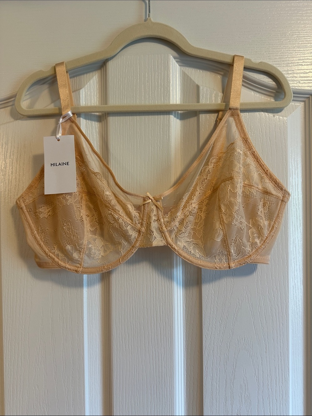 Hilaine Enchante breast minimizer Nude Lace Underwire Bra